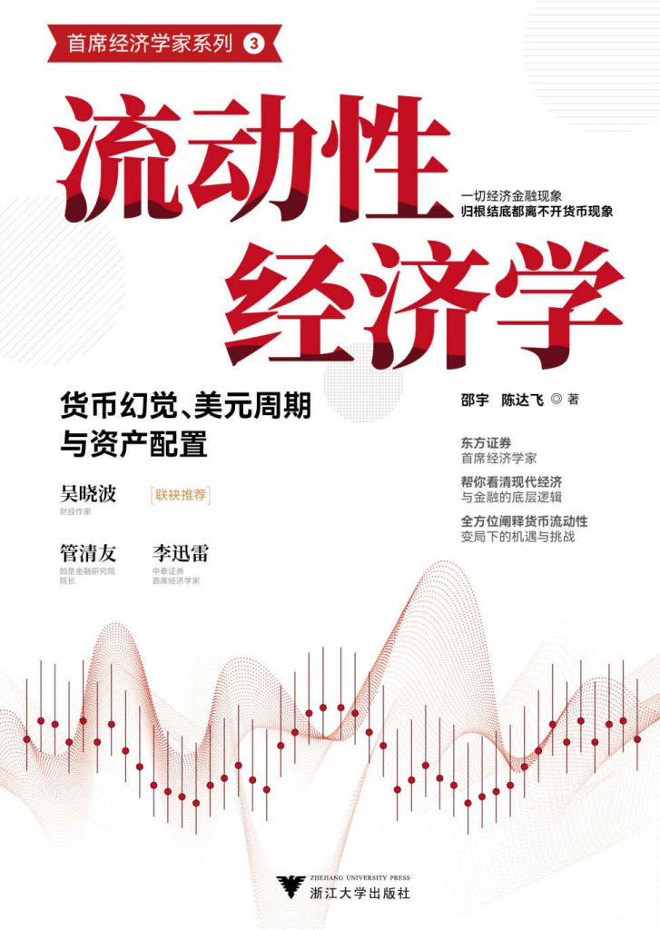 《流动性经济学》